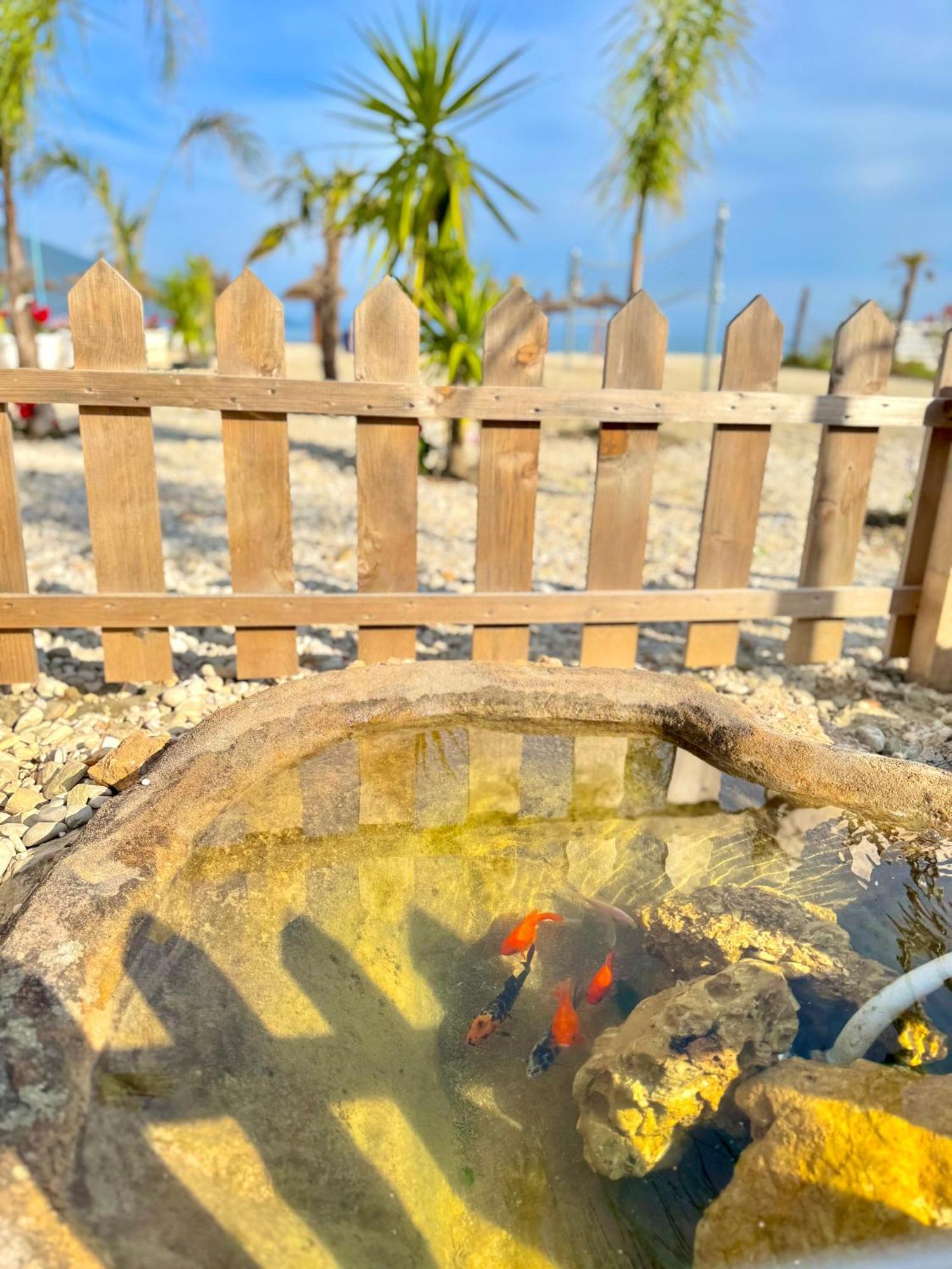 Blue Paradise Hotel أوريكوم المظهر الخارجي الصورة