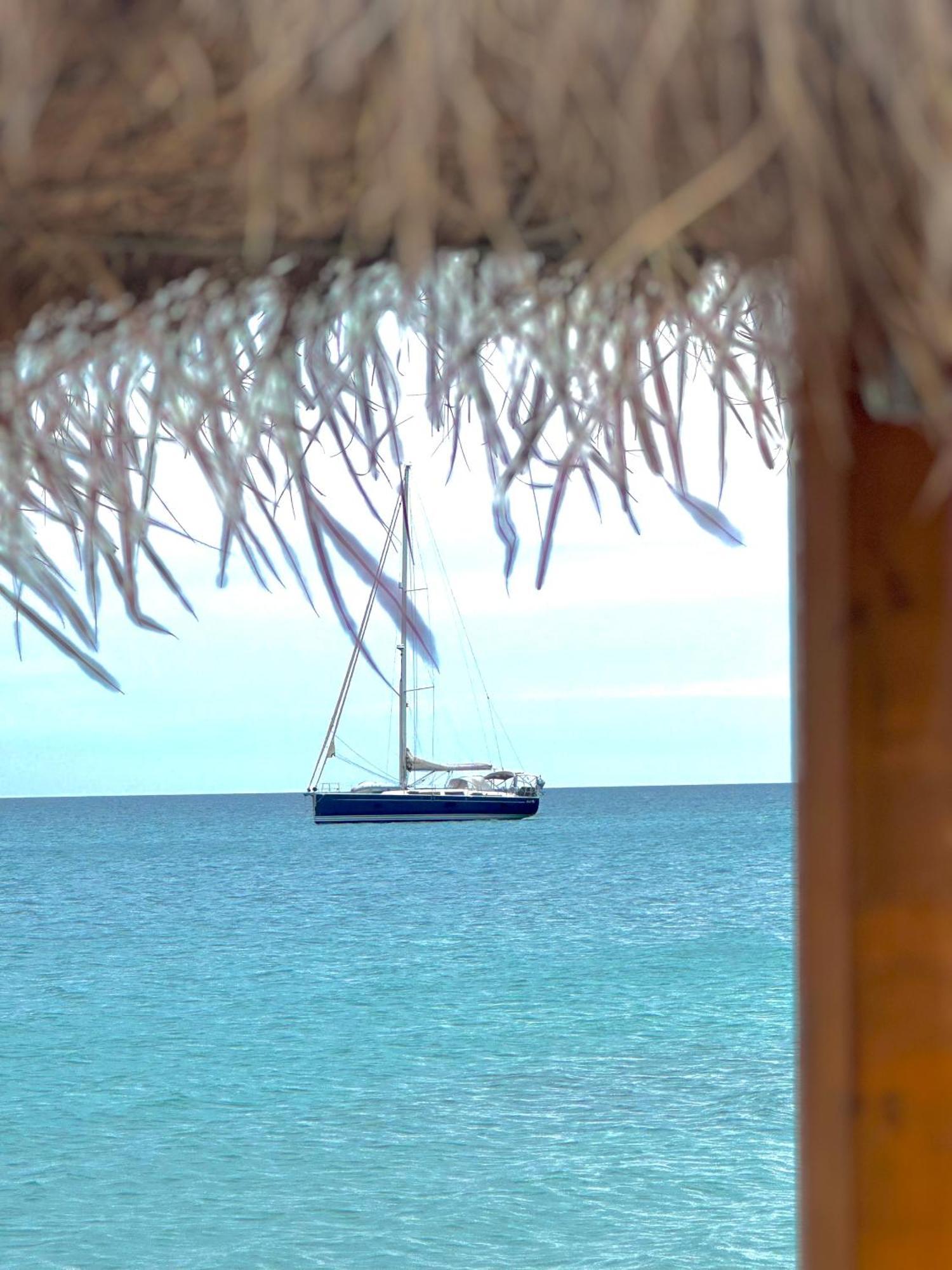 Blue Paradise Hotel أوريكوم المظهر الخارجي الصورة