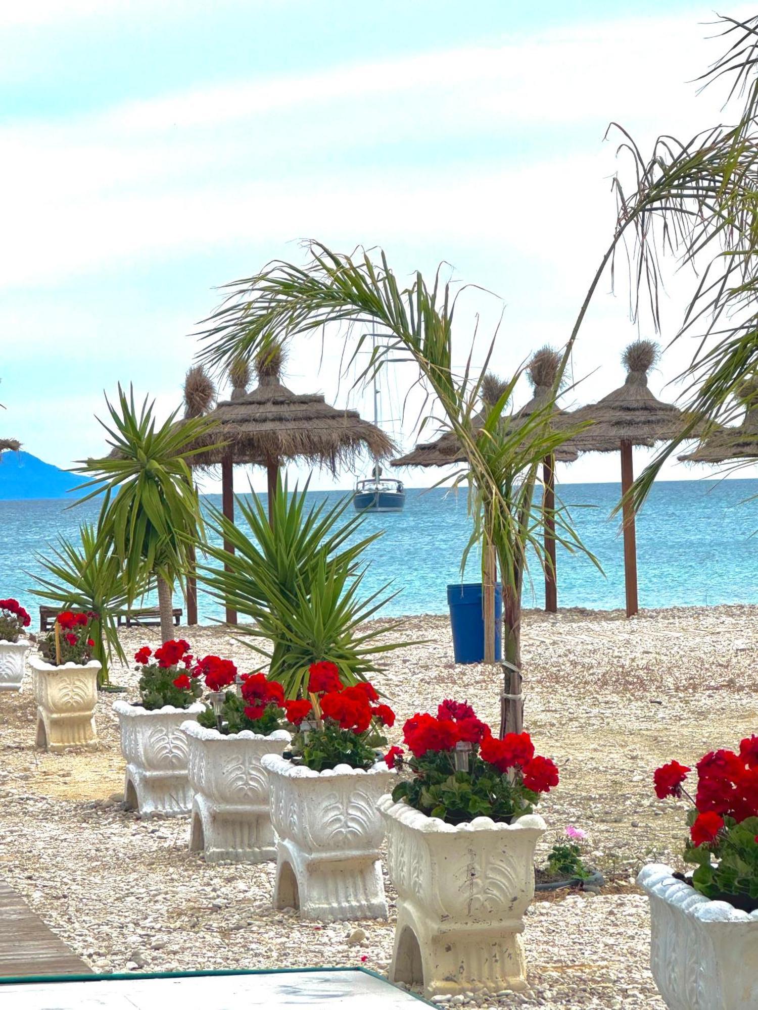 Blue Paradise Hotel أوريكوم المظهر الخارجي الصورة